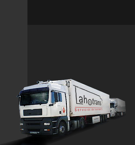 Servicios
